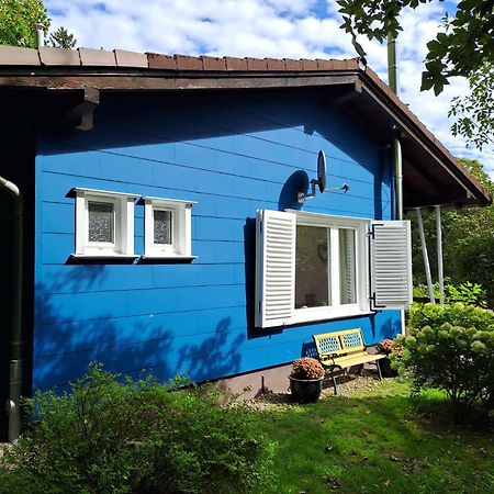Platell Ferienhausverwaltung Sankt Andreasberg Exterior foto