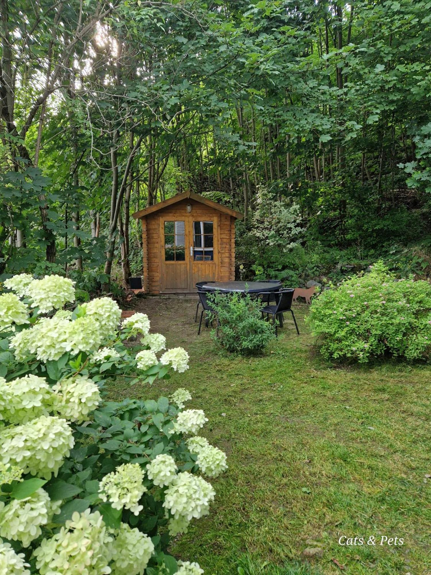 Platell Ferienhausverwaltung Sankt Andreasberg Exterior foto